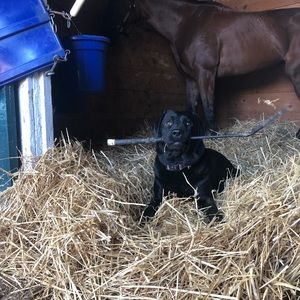 Meet your Posher, Paul